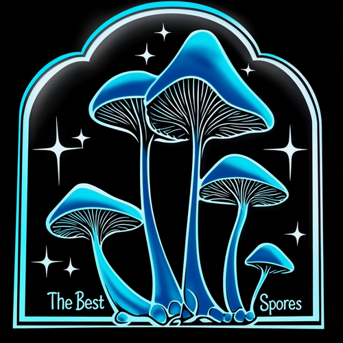TheBestSpores.com